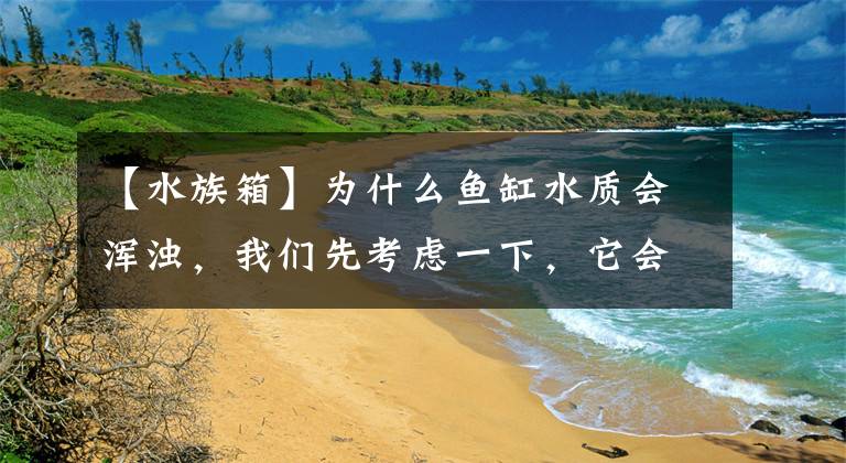 【水族箱】为什么鱼缸水质会浑浊，我们先考虑一下，它会在哪些情况下出现？