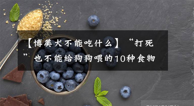 【博美犬不能吃什么】“打死”也不能给狗狗喂的10种食物，要不然你会后悔的