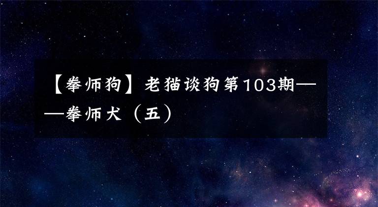 【拳师狗】老猫谈狗第103期——拳师犬（五）