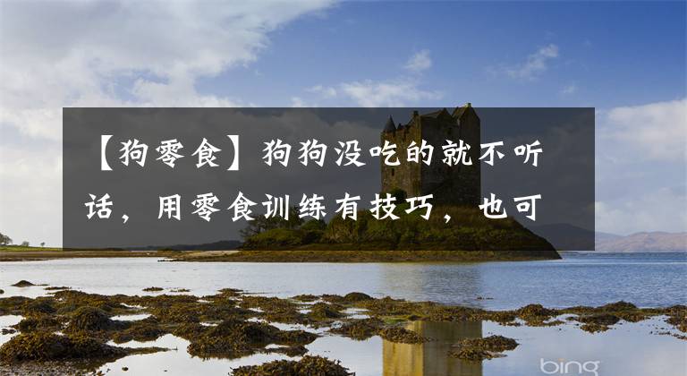 【狗零食】狗狗没吃的就不听话，用零食训练有技巧，也可以用其他奖励