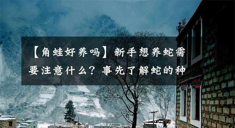 【角蛙好养吗】新手想养蛇需要注意什么?事先了解蛇的种类和生活习性是第一步