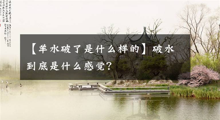 【羊水破了是什么样的】破水到底是什么感觉?