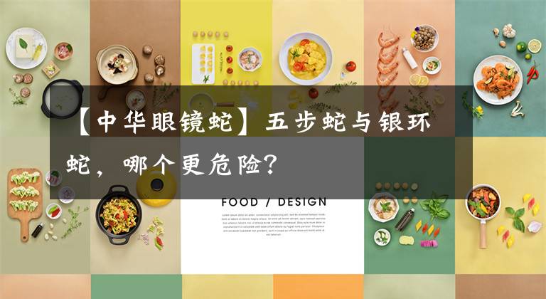 【中华眼镜蛇】五步蛇与银环蛇，哪个更危险？