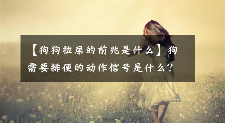 【狗狗拉屎的前兆是什么】狗需要排便的动作信号是什么？