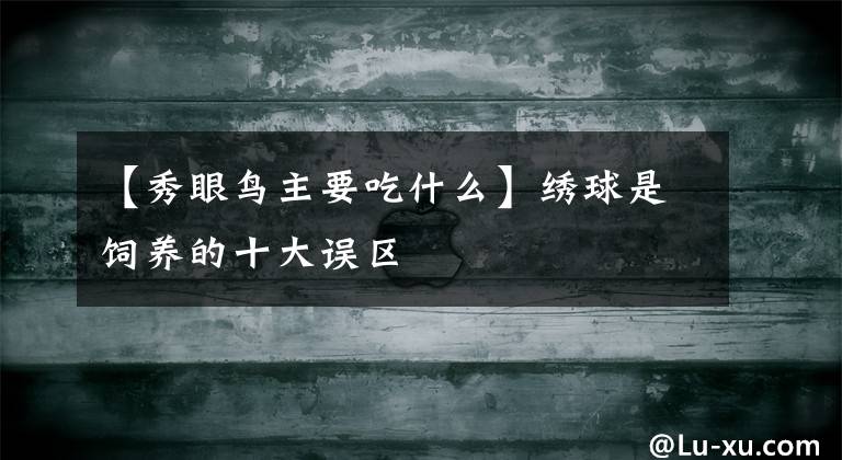 【秀眼鸟主要吃什么】绣球是饲养的十大误区