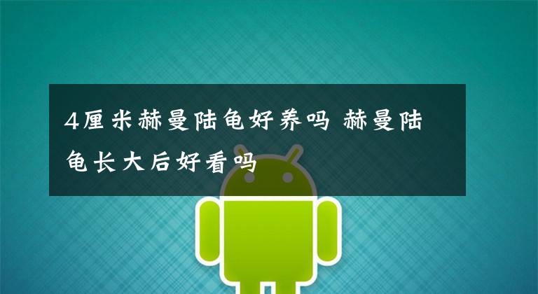 4厘米赫曼陆龟好养吗 赫曼陆龟长大后好看吗