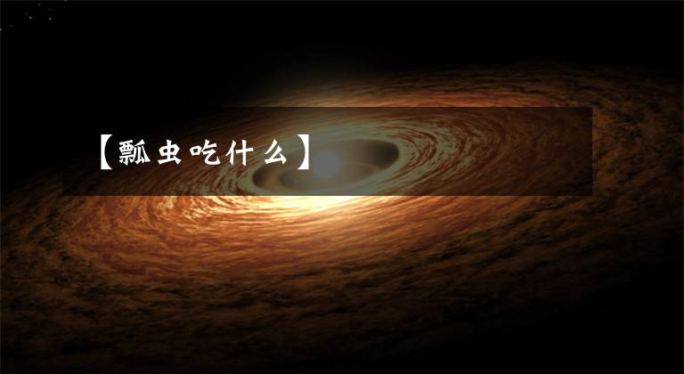 【瓢虫吃什么】