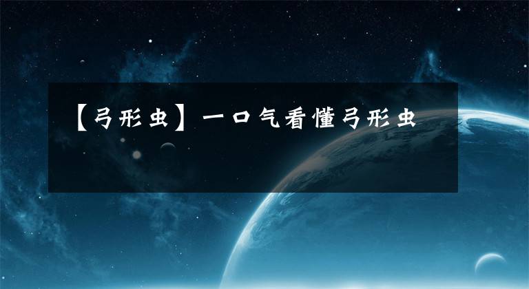 【弓形虫】一口气看懂弓形虫