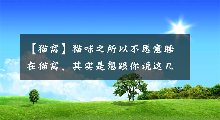 【猫窝】猫咪之所以不愿意睡在猫窝，其实是想跟你说这几句话