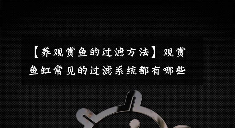 【养观赏鱼的过滤方法】观赏鱼缸常见的过滤系统都有哪些，过滤方式原理及使用方法干货