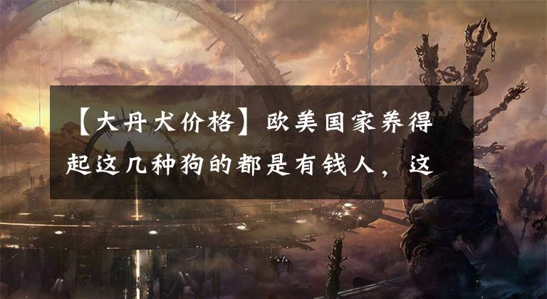 【大丹犬价格】欧美国家养得起这几种狗的都是有钱人，这些犬种我国有人养吗？