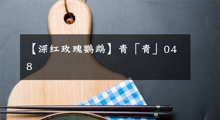 【深红玫瑰鹦鹉】青「青」048