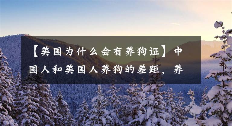 【美国为什么会有养狗证】中国人和美国人养狗的差距,养狗证上就体现出来了!