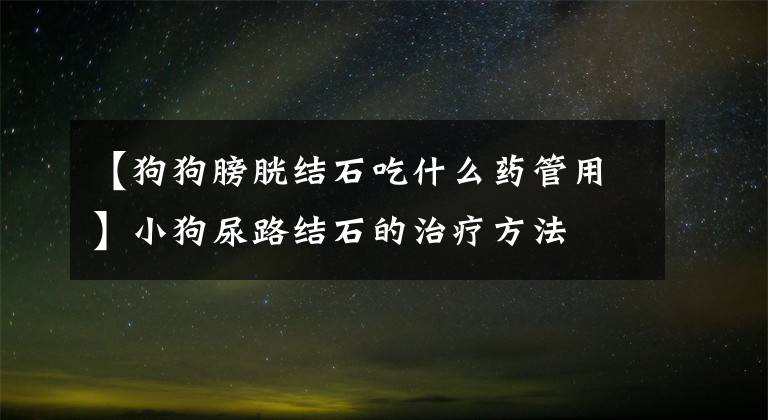 【狗狗膀胱结石吃什么药管用】小狗尿路结石的治疗方法
