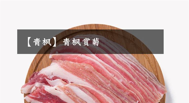 【青枫】青枫赏菊