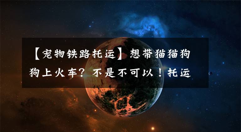 【宠物铁路托运】想带猫猫狗狗上火车？不是不可以！托运宠物最全指南