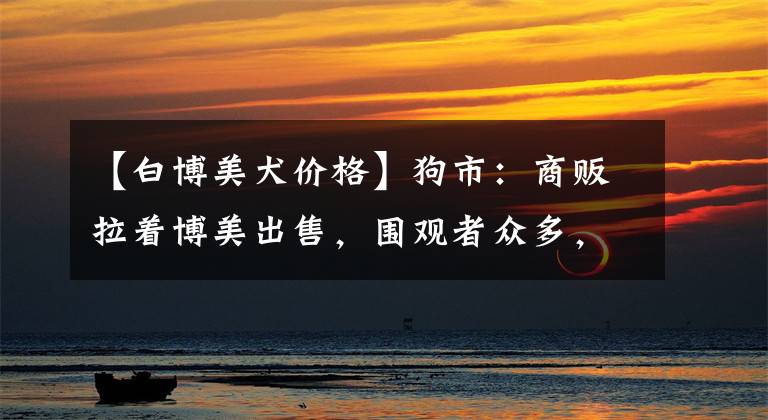 【白博美犬价格】狗市：商贩拉着博美出售，围观者众多，商贩报价900元！