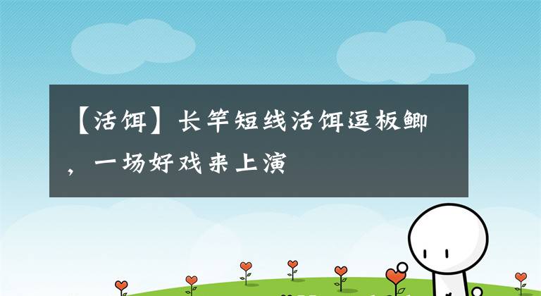 【活饵】长竿短线活饵逗板鲫,一场好戏来上演