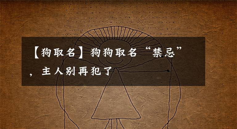 【狗取名】狗狗取名“禁忌”，主人别再犯了