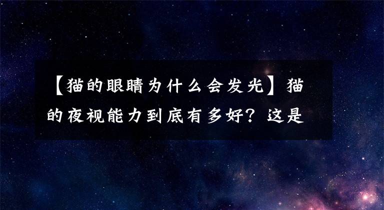 【猫的眼睛为什么会发光】猫的夜视能力到底有多好？这是真的吗？