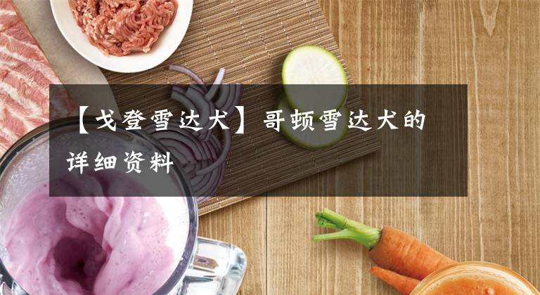 【戈登雪达犬】哥顿雪达犬的详细资料