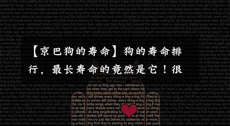 【京巴狗的寿命】狗的寿命排行，最长寿命的竟然是它！很多人都想不到吧！
