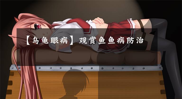 【乌龟眼病】观赏鱼鱼病防治