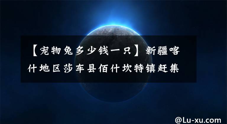 【宠物兔多少钱一只】新疆喀什地区莎车县佰什坎特镇赶集，活鸡35元一只烤鸽28元一只