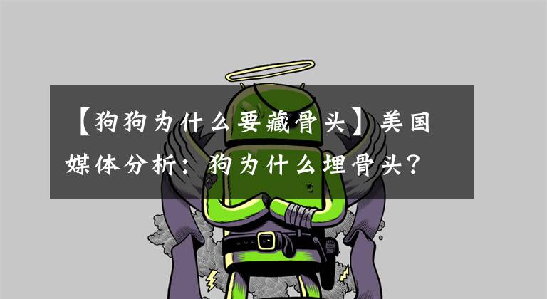 【狗狗为什么要藏骨头】美国媒体分析:狗为什么埋骨头?