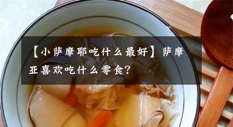 【小萨摩耶吃什么最好】萨摩亚喜欢吃什么零食？