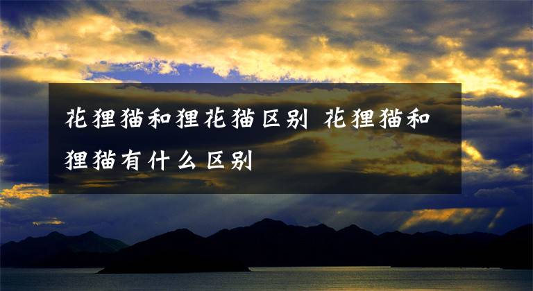 花狸猫和狸花猫区别 花狸猫和狸猫有什么区别