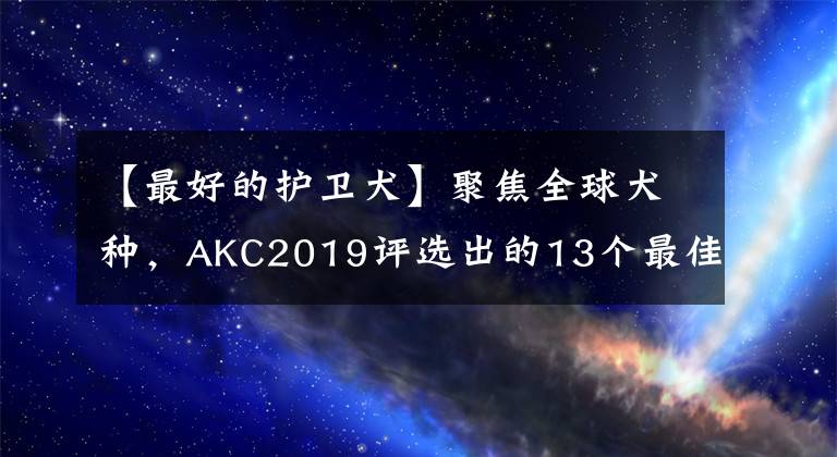 【最好的护卫犬】聚焦全球犬种，AKC2019评选出的13个最佳家庭护卫犬