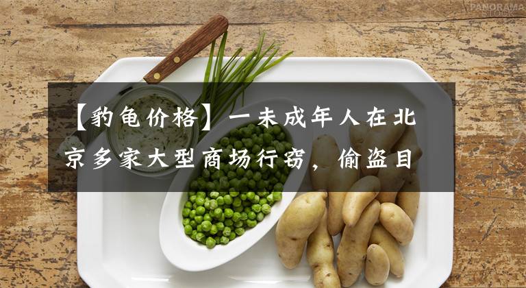 【豹龟价格】一未成年人在北京多家大型商场行窃，偷盗目标竟是盲盒