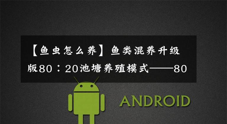 【鱼虫怎么养】鱼类混养升级版80∶20池塘养殖模式——80%的主养鱼，20% 的搭配鱼