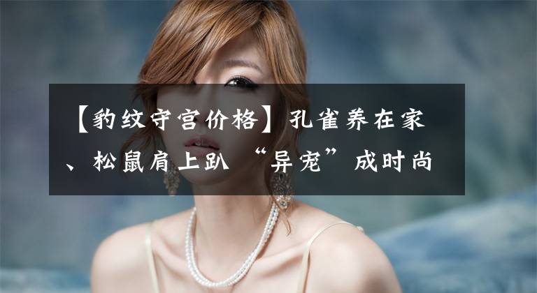 【豹纹守宫价格】孔雀养在家、松鼠肩上趴 “异宠”成时尚合法问题却被忽视