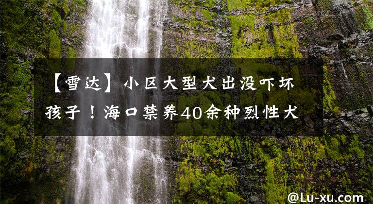 【雪达】小区大型犬出没吓坏孩子!海口禁养40余种烈性犬,品种有这些→