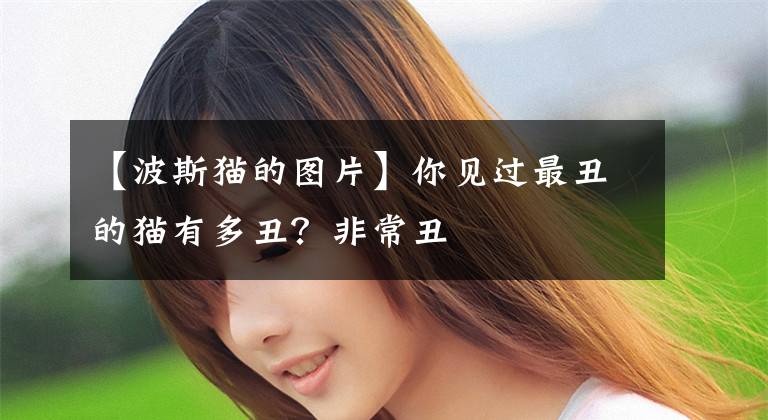 【波斯猫的图片】你见过最丑的猫有多丑?非常丑