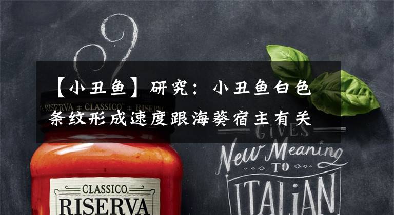 【小丑鱼】研究：小丑鱼白色条纹形成速度跟海葵宿主有关