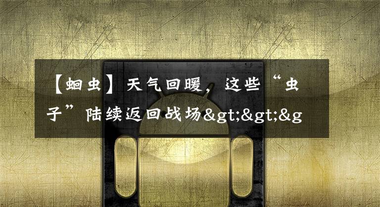 【蛔虫】天气回暖,这些“虫子”陆续返回战场>>>