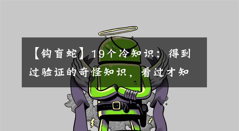 【钩盲蛇】19个冷知识:得到过验证的奇怪知识,看过才知原来如此