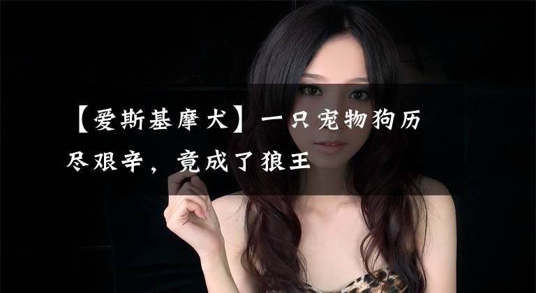 【爱斯基摩犬】一只宠物狗历尽艰辛，竟成了狼王