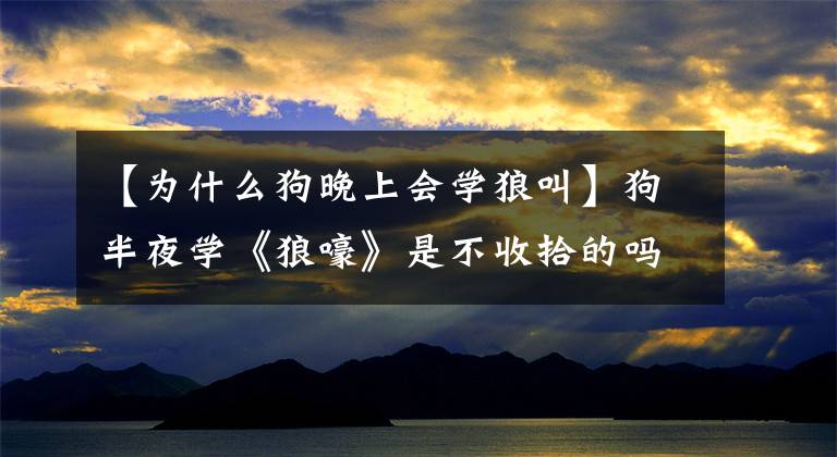 【为什么狗晚上会学狼叫】狗半夜学《狼嚎》是不收拾的吗？事实上，并非如此。也许你想对大家说这样的话。