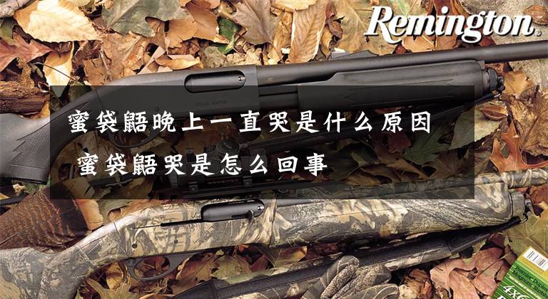 蜜袋鼯晚上一直哭是什么原因 蜜袋鼯哭是怎么回事