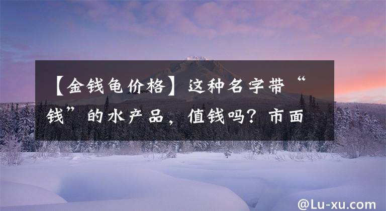 【金钱龟价格】这种名字带“钱”的水产品，值钱吗？市面少有，一只能卖万元