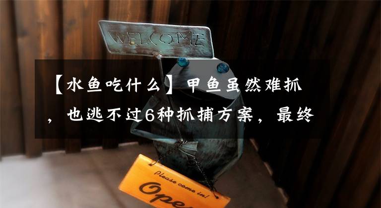 【水鱼吃什么】甲鱼虽然难抓，也逃不过6种抓捕方案，最终的归宿还是饭桌