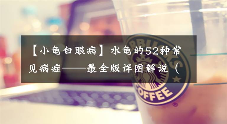 【小龟白眼病】水龟的52种常见病症——最全版详图解说（上篇）