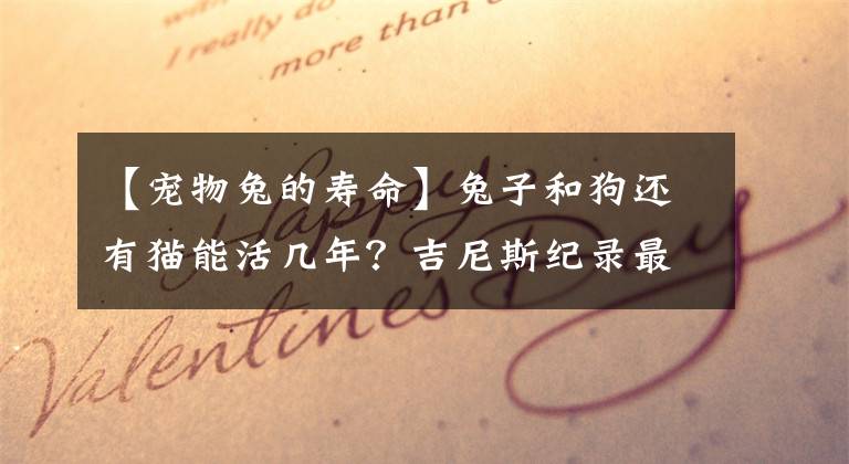【宠物兔的寿命】兔子和狗还有猫能活几年？吉尼斯纪录最长寿的狗，相当于人200岁
