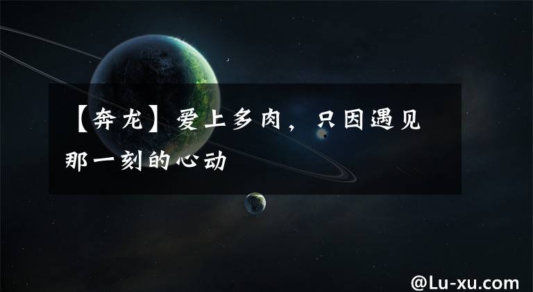 【奔龙】爱上多肉,只因遇见那一刻的心动