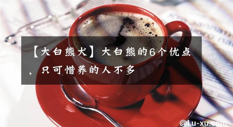 【大白熊犬】大白熊的6个优点，只可惜养的人不多