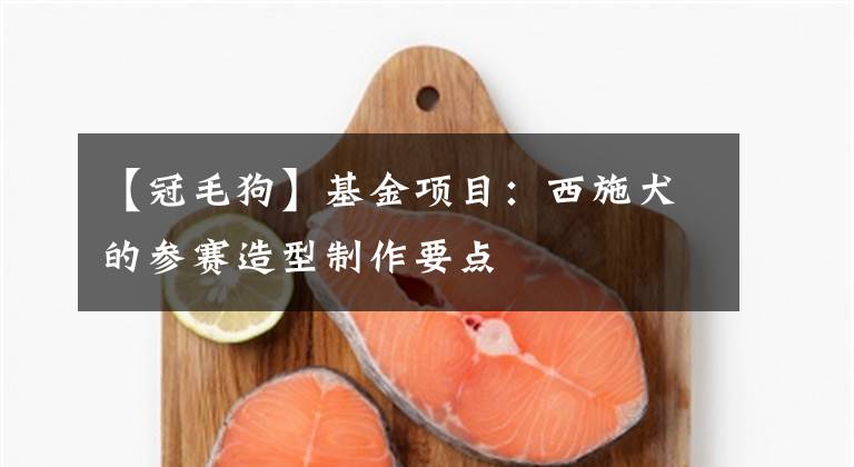 【冠毛狗】基金项目:西施犬的参赛造型制作要点